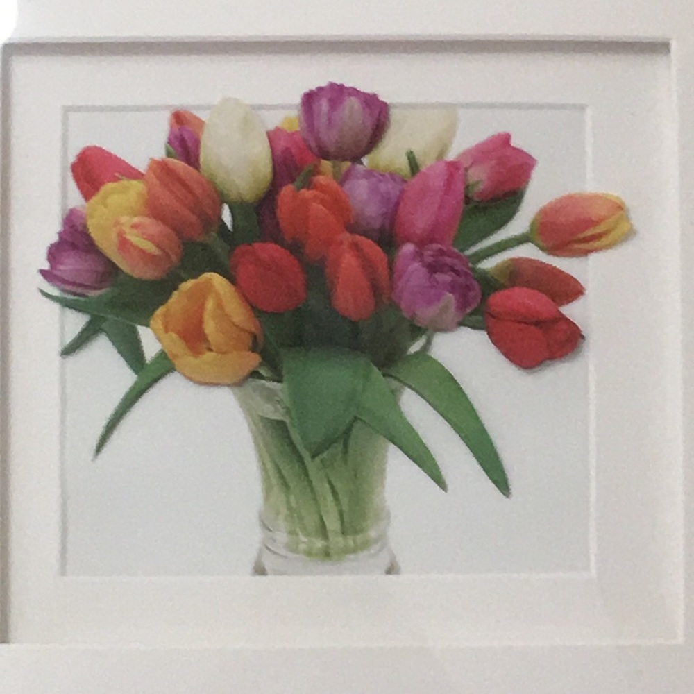 Meet your Posher, Sonua